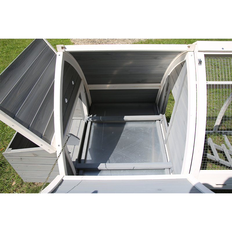 Pets Imperial® Chicken Coops Chicken Coop with Chicken Run For Up To 5